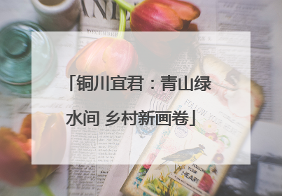 铜川宜君：青山绿水间 乡村新画卷