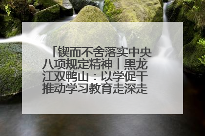 锲而不舍落实中央八项规定精神丨黑龙江双鸭山：以学促干推动学习教育走深走实 从小事入手写好“民生答卷”