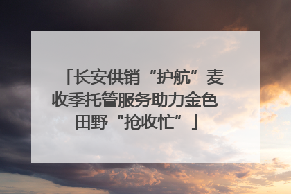 长安供销“护航”麦收季托管服务助力金色田野“抢收忙”