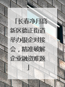 长春净月高新区德正街道举办银企对接会，精准破解企业融资难题