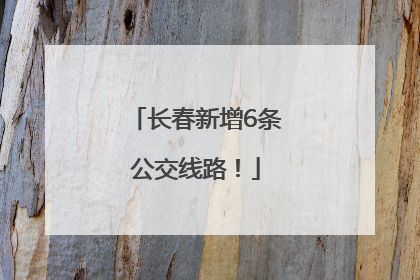 长春新增6条公交线路！