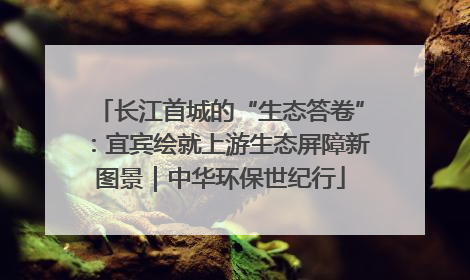 长江首城的“生态答卷”：宜宾绘就上游生态屏障新图景｜中华环保世纪行