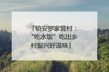 镇安罗家营村：“吃水饭”吃出乡村振兴好滋味