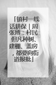 镇村一线话耕保｜周张博：村民但凡种树、建棚、盖房，都要向街道报批