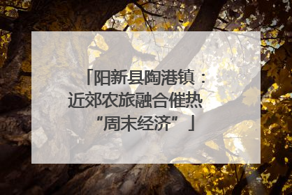 阳新县陶港镇：近郊农旅融合催热“周末经济”