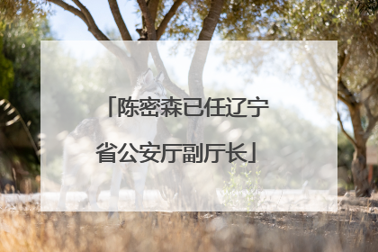 陈密森已任辽宁省公安厅副厅长