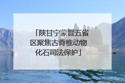 陕甘宁蒙晋五省区聚焦古脊椎动物化石司法保护