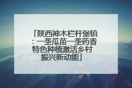 陕西神木栏杆堡镇：一垄瓜苗一垄药香 特色种植激活乡村振兴新动能