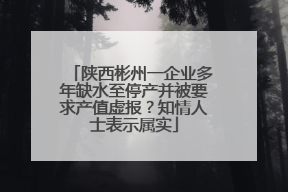 陕西彬州一企业多年缺水至停产并被要求产值虚报？知情人士表示属实