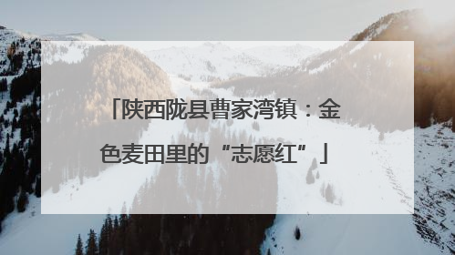 陕西陇县曹家湾镇：金色麦田里的“志愿红”