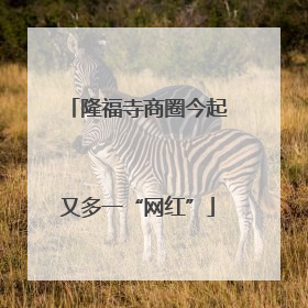 隆福寺商圈今起又多一“网红”