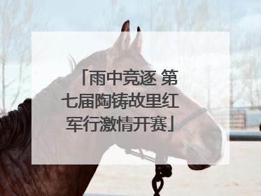 雨中竞逐 第七届陶铸故里红军行激情开赛