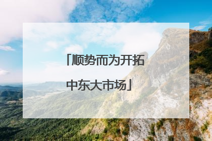 顺势而为开拓中东大市场