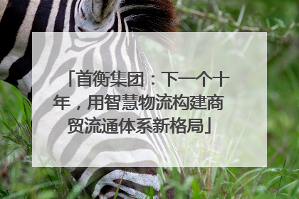 首衡集团：下一个十年，用智慧物流构建商贸流通体系新格局