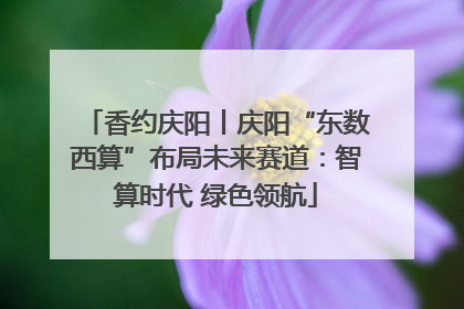 香约庆阳丨庆阳“东数西算”布局未来赛道：智算时代 绿色领航