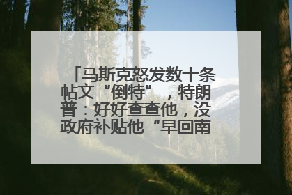 马斯克怒发数十条帖文“倒特”，特朗普：好好查查他，没政府补贴他“早回南非老家”了
