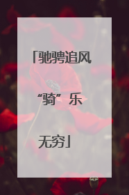 驰骋追风 “骑”乐无穷