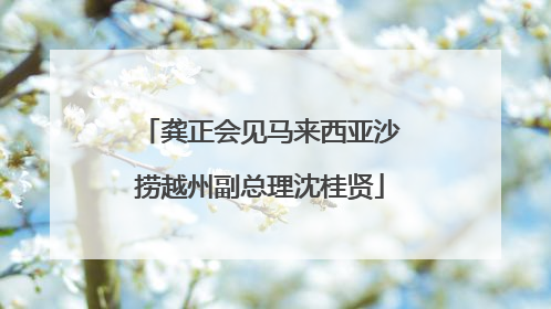 龚正会见马来西亚沙捞越州副总理沈桂贤