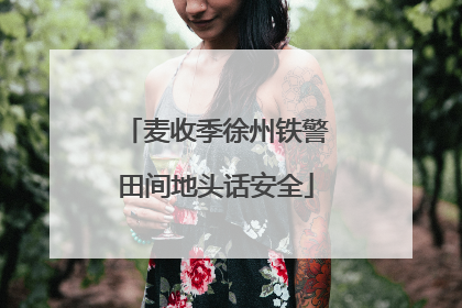 麦收季徐州铁警田间地头话安全