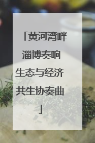 黄河湾畔 淄博奏响生态与经济共生协奏曲