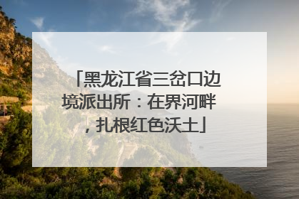 黑龙江省三岔口边境派出所：在界河畔，扎根红色沃土
