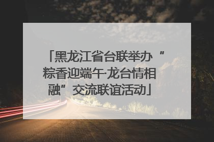 黑龙江省台联举办“粽香迎端午·龙台情相融”交流联谊活动