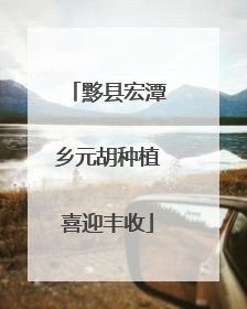 黟县宏潭乡元胡种植喜迎丰收