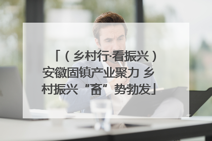 （乡村行·看振兴）安徽固镇产业聚力 乡村振兴“畜”势勃发