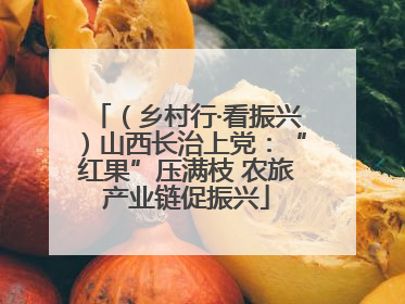 （乡村行·看振兴）山西长治上党：“红果”压满枝 农旅产业链促振兴