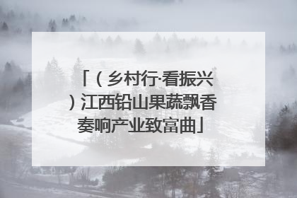（乡村行·看振兴）江西铅山果蔬飘香 奏响产业致富曲