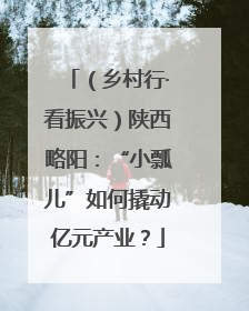 （乡村行·看振兴）陕西略阳：“小瓢儿”如何撬动亿元产业？