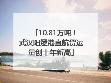 10.81万吨！武汉阳逻港直航货运量创十年新高