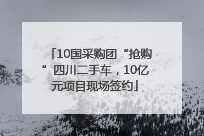 10国采购团“抢购”四川二手车，10亿元项目现场签约
