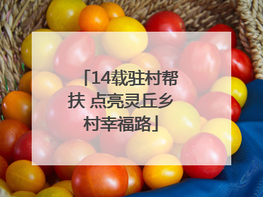 14载驻村帮扶 点亮灵丘乡村幸福路