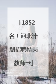 1852名！河北计划招聘特岗教师→