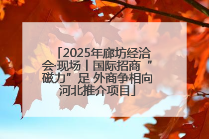 2025年廊坊经洽会·现场丨国际招商“磁力”足 外商争相向河北推介项目