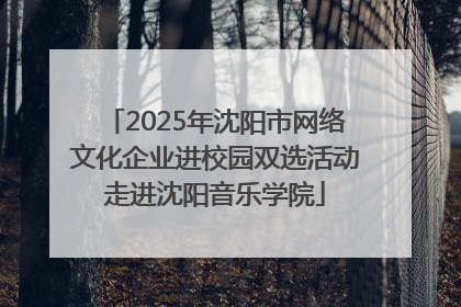 2025年沈阳市网络文化企业进校园双选活动走进沈阳音乐学院