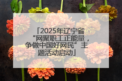 2025年辽宁省“网聚职工正能量，争做中国好网民”主题活动启动