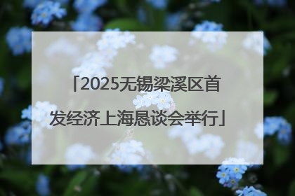 2025无锡梁溪区首发经济上海恳谈会举行