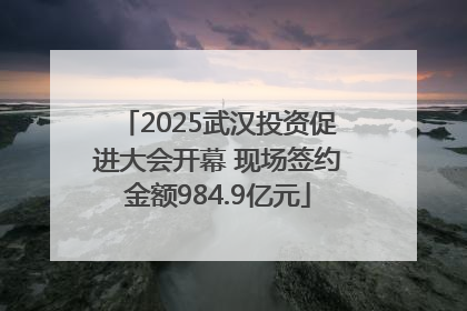2025武汉投资促进大会开幕 现场签约金额984.9亿元