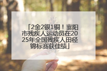 2金2银1铜！襄阳市残疾人运动员在2025年全国残疾人田径锦标赛获佳绩