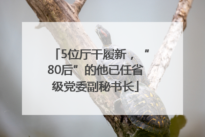 5位厅干履新，“80后”的他已任省级党委副秘书长