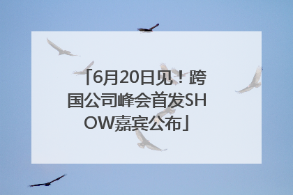 6月20日见！跨国公司峰会首发SHOW嘉宾公布