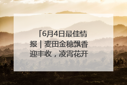 6月4日最佳情报｜麦田金穗飘香迎丰收，凌霄花开娇艳多姿！恭喜