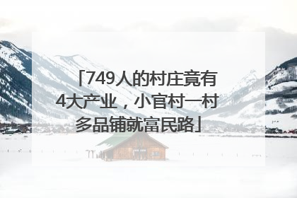 749人的村庄竟有4大产业，小官村一村多品铺就富民路