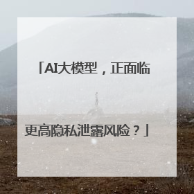 AI大模型，正面临更高隐私泄露风险？