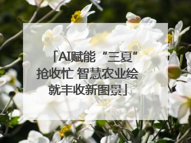 AI赋能“三夏”抢收忙 智慧农业绘就丰收新图景